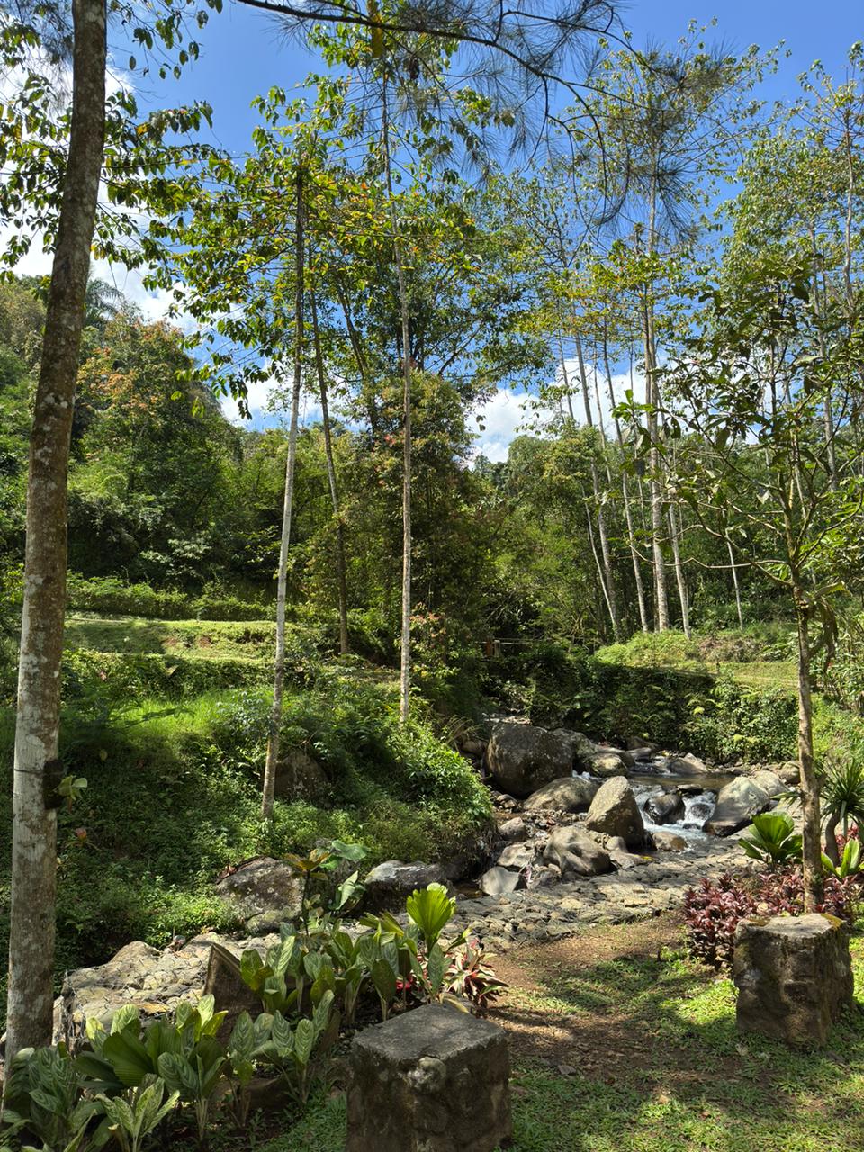 Rocky stream running through the villa garden